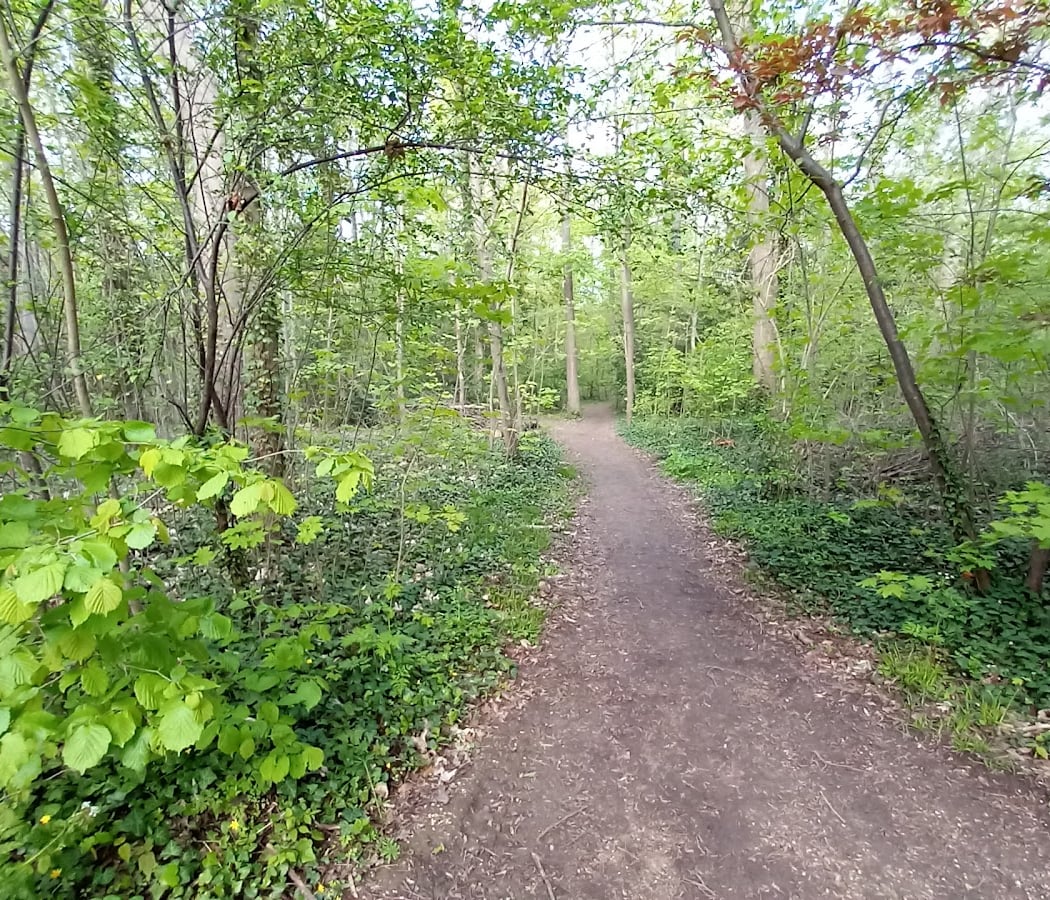 Parc Canin de Sceaux 3